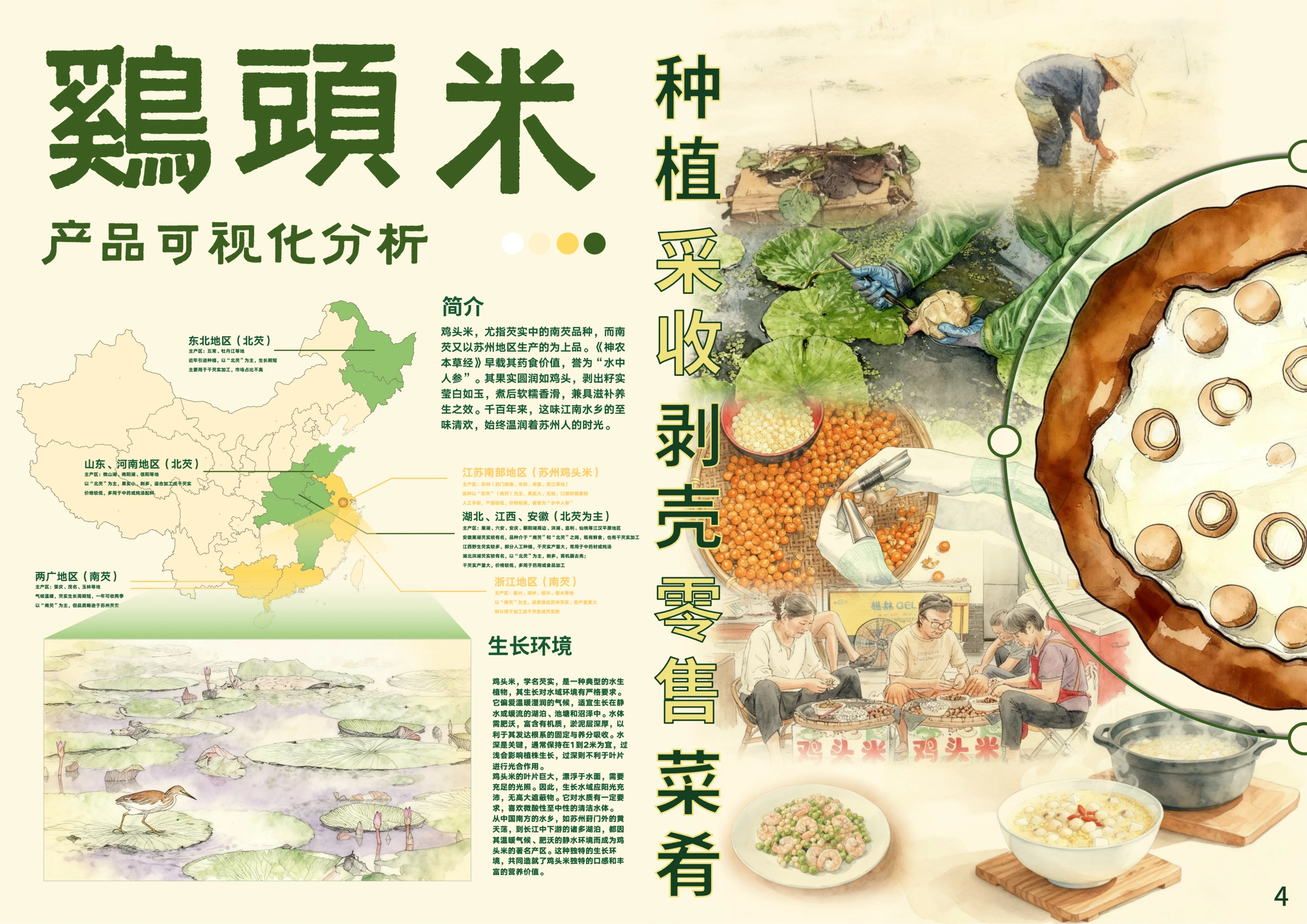 膳芡坊 — 鸡头米的产品信息可视化