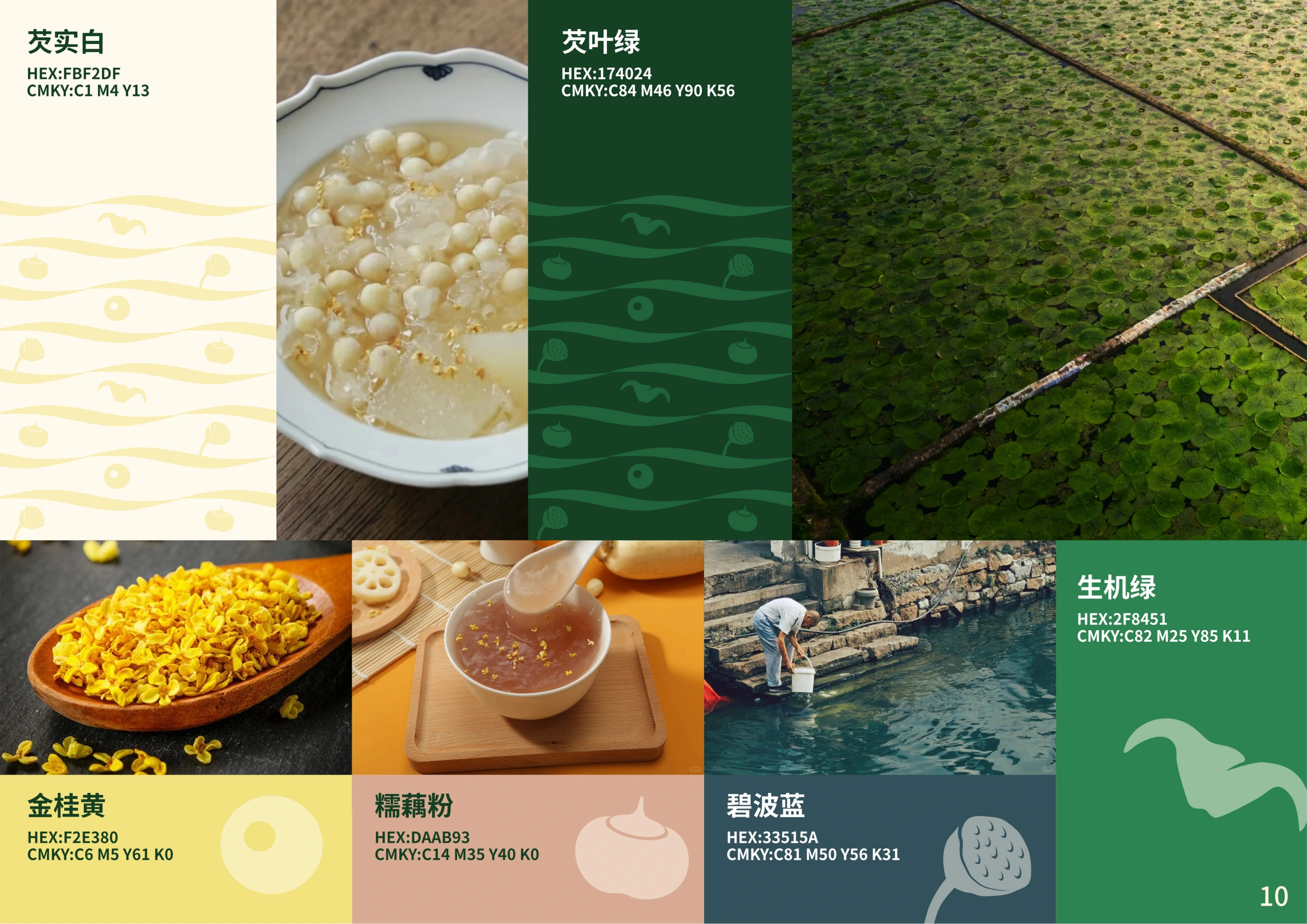 膳芡坊 — 品牌色彩与辅助图形